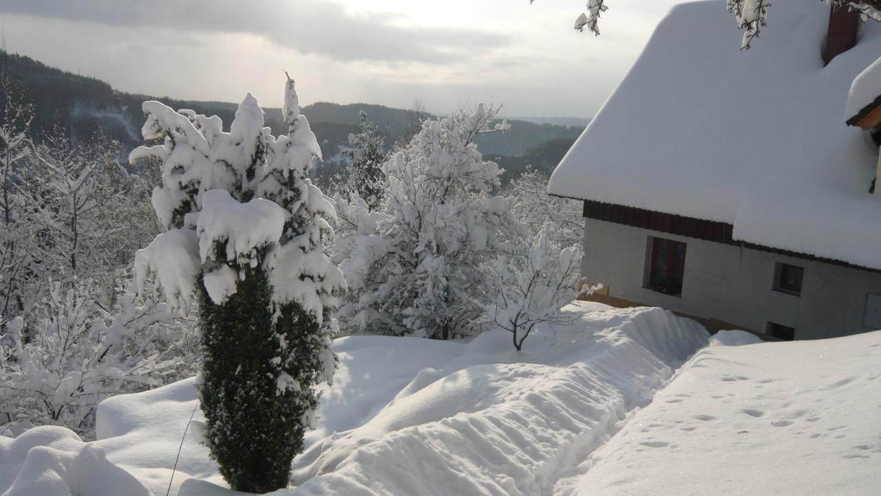 Vila Chalupa Záborčí Malá Skála Exteriér fotografie